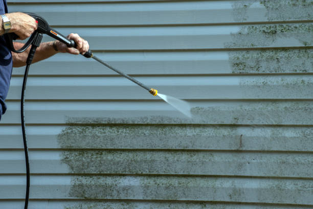 Best Vinyl Siding Pressure Washing in Beach Park, IL